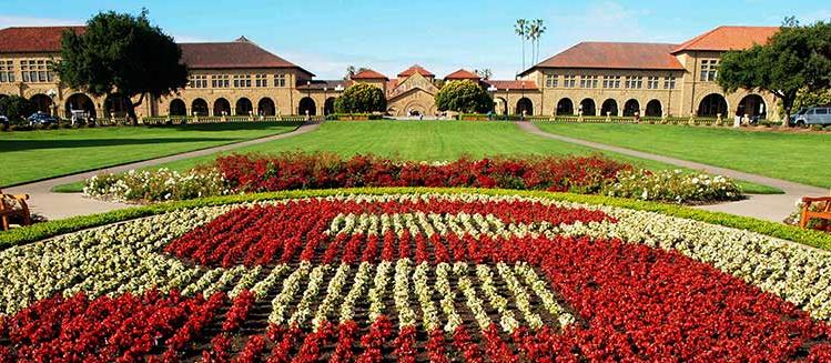 Brasileira diz como passou no doutorado de Stanford – aos 25 anos!