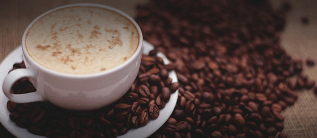 mestrado em café