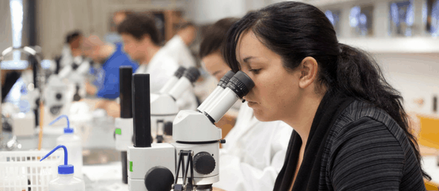 mulher pesquisadora olhando pelo microscópio