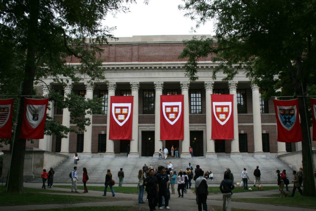 Greve pelo meio ambiente: conheça o movimento ao qual aderiram Harvard, Oxford e Cambridge